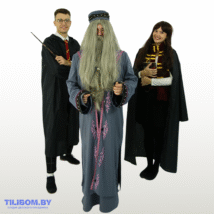 Вечеринка "Хогвартс"